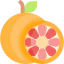 Grapefruit 상 64x64