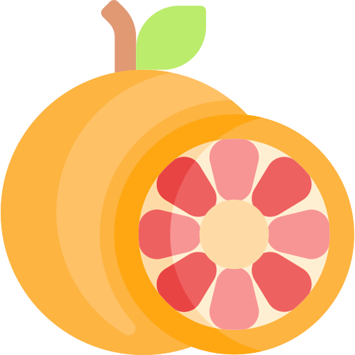 Grapefruit icon