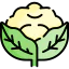 Cauliflower icon 64x64