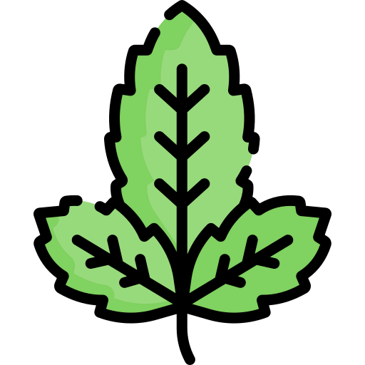 Basil 图标