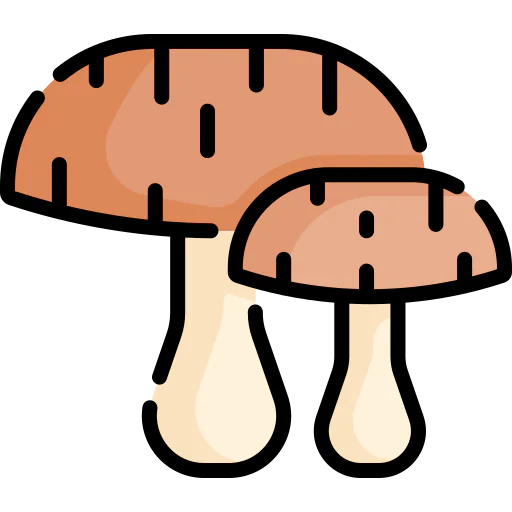 Mushroom 상