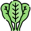 Spinach Symbol 64x64