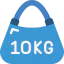 Bag icon 64x64
