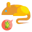 Rats icon 64x64