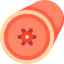 Bronchial tube アイコン 64x64