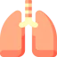 Lungs アイコン 64x64