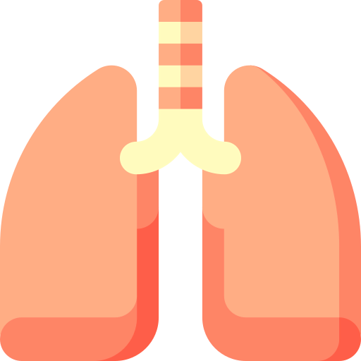 Lungs 图标