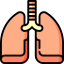 Lungs 图标 64x64