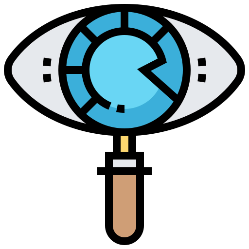 Vision icon