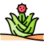 Cactus Symbol 64x64