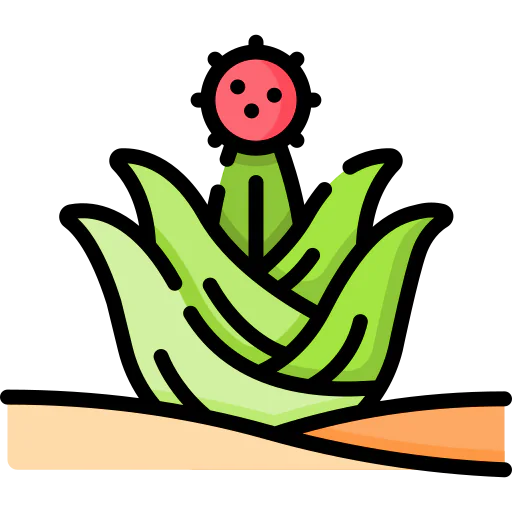 Cactus icon
