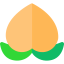 Peach ícono 64x64