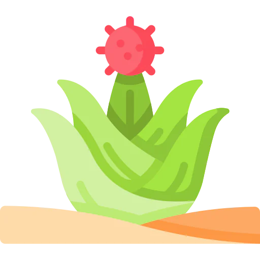 Cactus icon