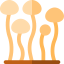Enokitake 상 64x64