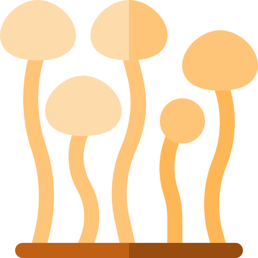Enokitake icon