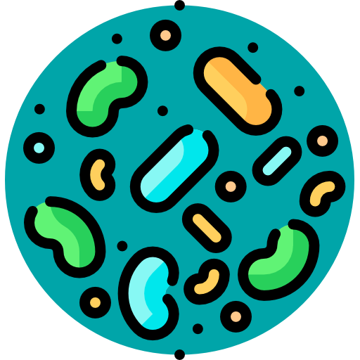Bacteria Ikona