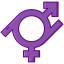 Gender fluid icon 64x64