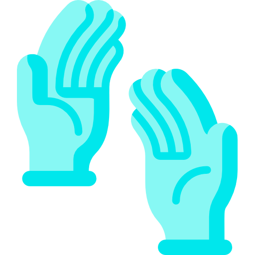 Gloves icon