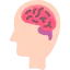 Brain icon 64x64