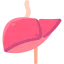 Liver icône 64x64