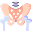 Pelvis 图标 64x64