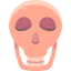 Skull icon 64x64