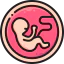 Embryo icon 64x64