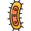 Bacteria icon 64x64