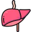 Liver icône 64x64