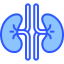Kidney icon 64x64