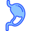 Stomach icon 64x64