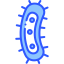 Bacteria icon 64x64