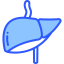 Liver icône 64x64
