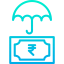 Rupees icon 64x64