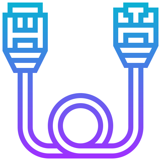 Lan icon
