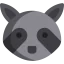 Raccoon biểu tượng 64x64