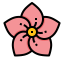 Mugunghwa icon 64x64