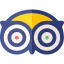 Tripadvisor иконка 64x64