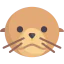 Seal 상 64x64