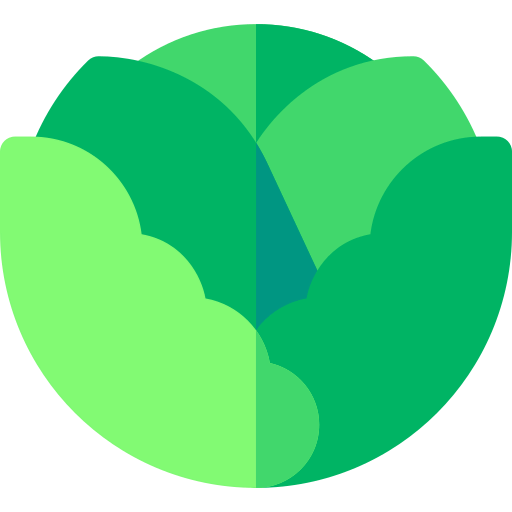 Cabbage icon