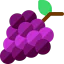 Grapes ícono 64x64