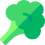 Broccoli ícono 64x64