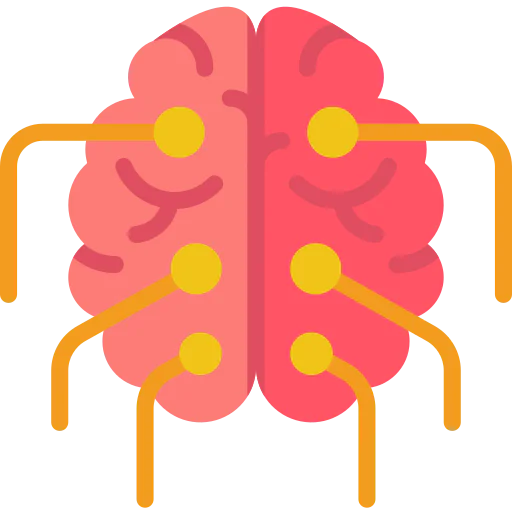 Brain 상