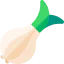 Onion ícone 64x64