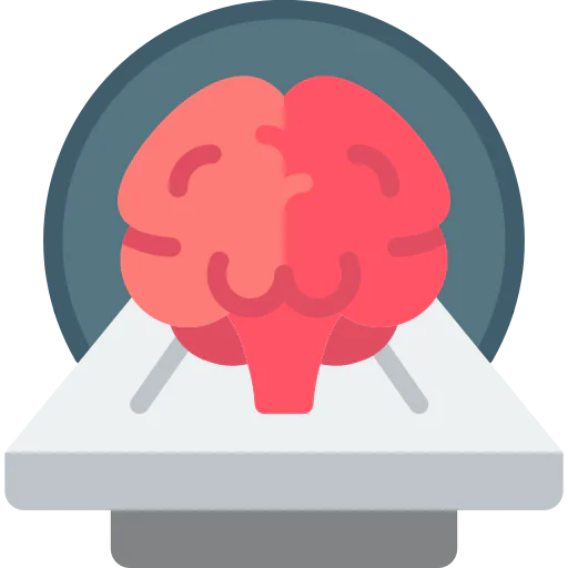 Brain 상