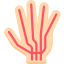 Nerves icon 64x64