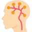 Brain icon 64x64