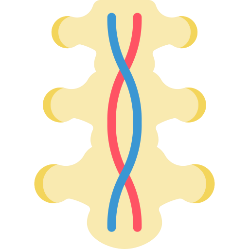 Spinal cord biểu tượng