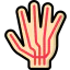Nerves icon 64x64