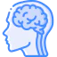 Brain biểu tượng 64x64